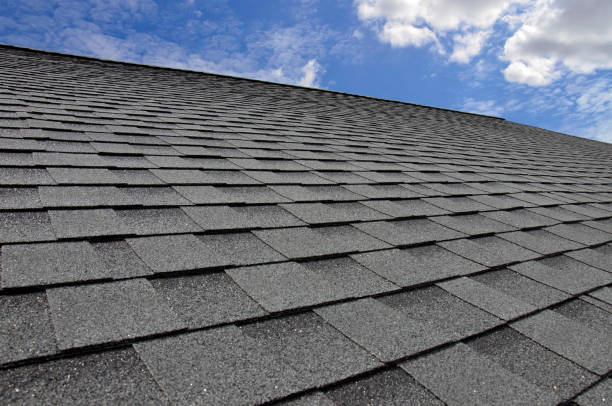 Best Roof Ventilation Installation  in USA